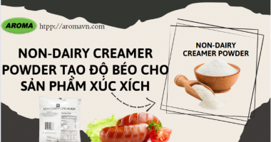 NON-DAIRY CREAMER POWDER- TẠO ĐỘ BÉO CHO SẢN PHẨM XÚC XÍCH 