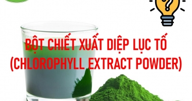 BỘT CHIẾT XUẤT DIỆP LỤC TỐ CHLOROPHYLL