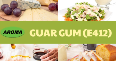 Tổng quan về Guar Gum E412