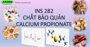 Canxi Propionate E282 - Ứng dụng chính của chất bảo quản INS 282