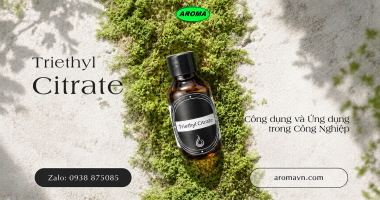 Triethyl Citrate Là Gì? Công Dụng Và Ứng Dụng Quan Trọng Trong Công Nghiệp
