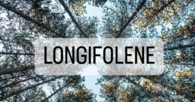 LONGIFOLENE - CAS: 475-20-7