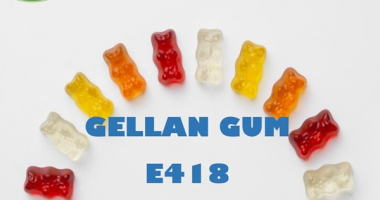 TỔNG QUAN GELLAN GUM (E418) VÀ ỨNG DỤNG