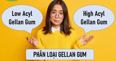 High Acyl Gellan Gum và Low Acyl Gellan Gum