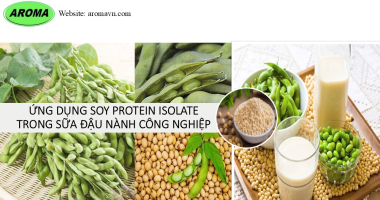 Ứng dụng Soy Protein Isolate trong sữa đậu nành công nghiệp	