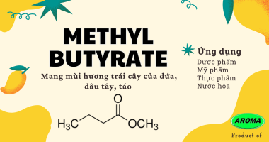 Tổng quan về Metyl Butyrate. Đặc điểm và ứng dụng