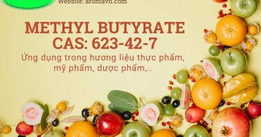 METHYL BUTYRATE    CAS: 623-42-7    Fema: 2693