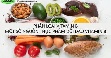 Phân loại vitamin B - Một số nguồn thực phẩm dồi dào vitamin B