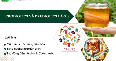 Prebiotics và Probiotics là gì? Lợi ích và cách bổ sung hiệu quả