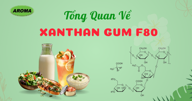 Tổng quan về Xanthan Gum F80 – Giải pháp hoàn hảo cho ngành thực phẩm