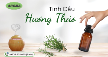 11 Công Dụng Của Tinh Dầu Hương Thảo: Giải Pháp Tự Nhiên Cho Sức Khỏe Toàn Diện