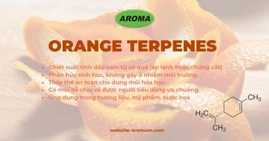 Tổng quan về Orange Terpens. Đặc điểm và ứng dụng