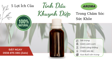 Top 5 Lợi Ích Của Tinh Dầu Khuynh Diệp Trong Chăm Sóc Sức Khỏe