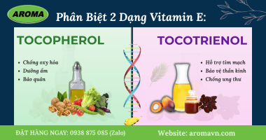 Phân Biệt 2 Dạng Của Vitamin E: Tocopherol Và Tocotrienol - Giải pháp dinh dưỡng tự nhiên