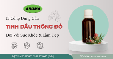 Tổng Hợp 13 Công Dụng Của Tinh Dầu Thông Đỏ Đối Với Sức Khỏe & Làm Đẹp