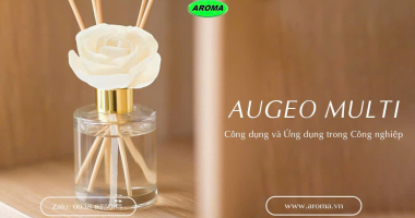 Augeo Multi Là Gì? Công Dụng Và Ứng Dụng Trong Công Nghiệp