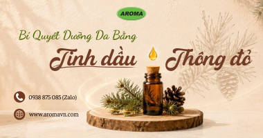 Bí Quyết Dưỡng Da Bằng Tinh Dầu Thông Đỏ An Toàn Và Hiệu Quả 