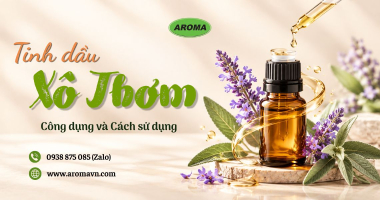 Tinh Dầu Xô Thơm Là Gì? Khám Phá Công Dụng Và Cách Sử Dụng 