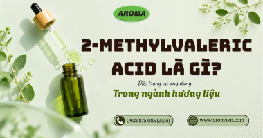 2-Methylvaleric Acid Là Gì? Đặc Tính Và Ứng Dụng Trong Ngành Hương Liệu 