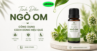 Tinh Dầu Ngò Om Là Gì? Công Dụng Và Cách Dùng Hiệu Quả