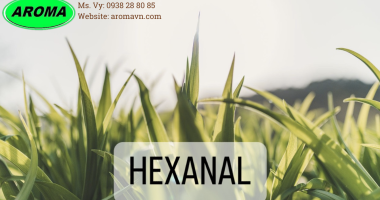 HEXANAL - CAS: 66-25-1 - FEMA: 2557